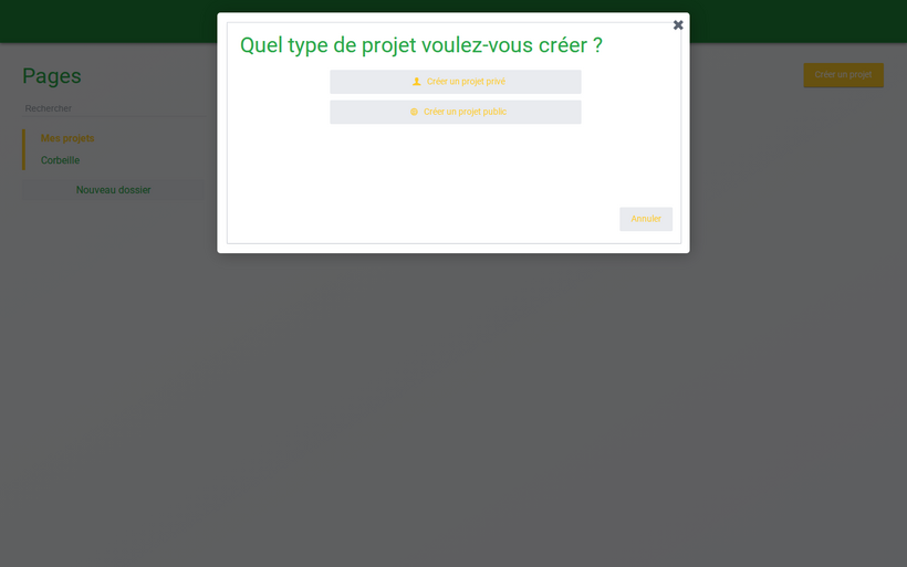 Choix du type de projet : privé ou public